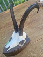 Gamsbock