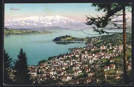 Horgen, Totalansicht mit See und Bergpan