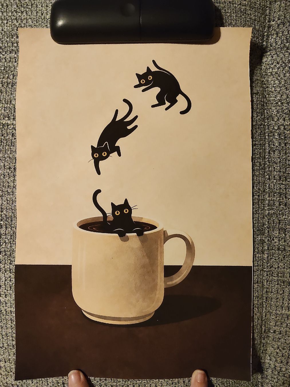 Foto & Immagini: Affiche chats dans une tasse – Nuovo (secondo la descrizione) da Ecublens VD venduto da hel_t5v7