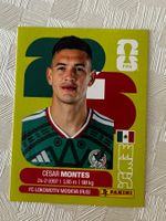 Panini Fifa Word Cup 2026 MEX 5