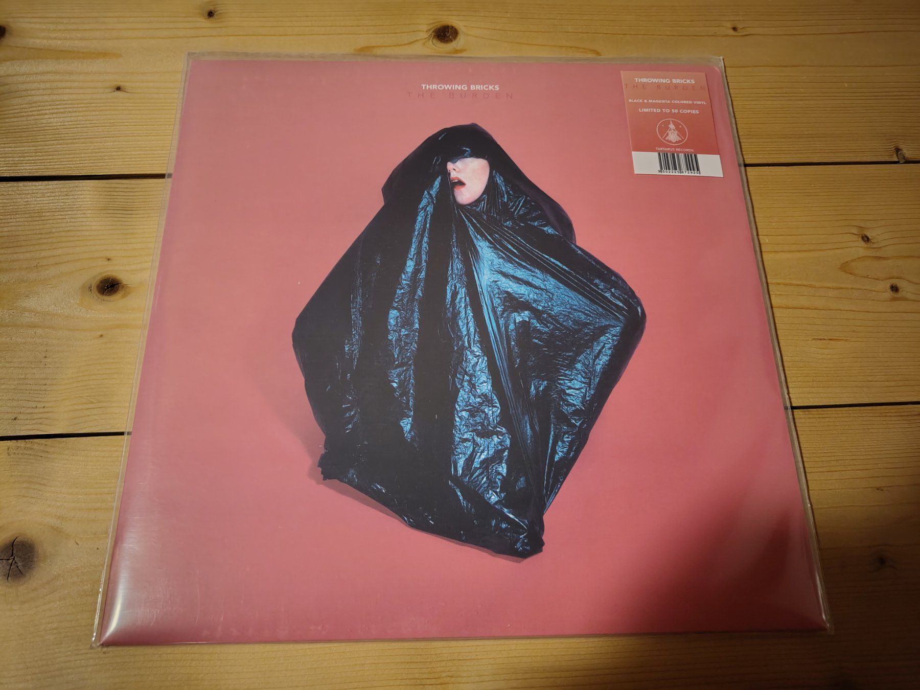 Dischi in vinile: Throwing Bricks - The Burden – Usato da Wasterkingen venduto da Palu17