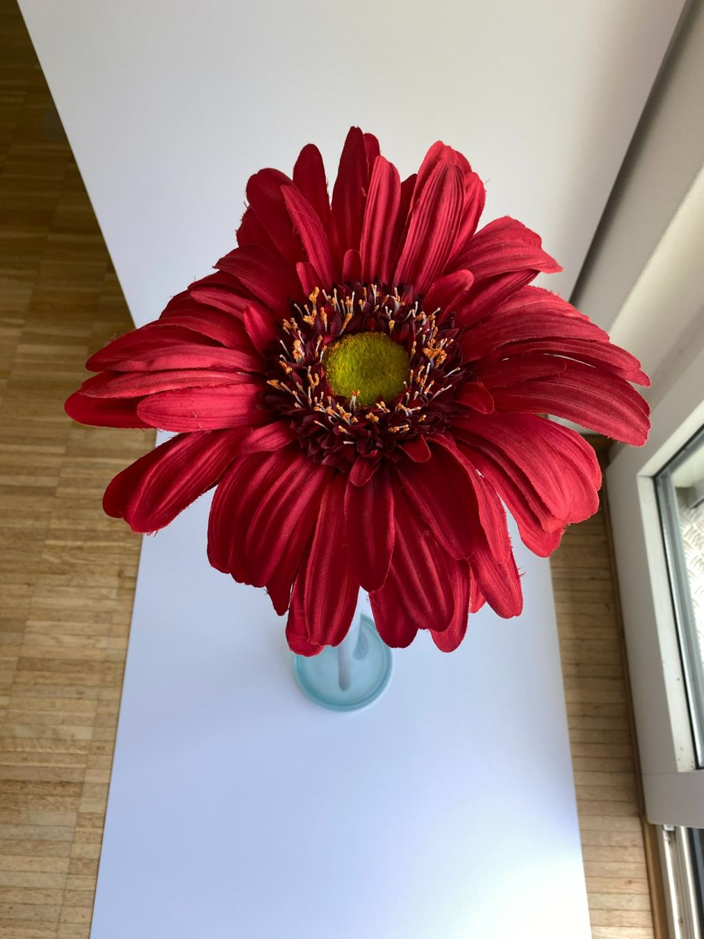 Piante & sementi: Grosse Gerbera XL - Dekoration – Usato da Kilchberg ZH venduto da Tali_1 1