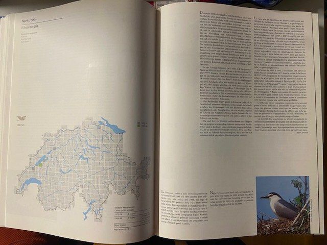Libri: Schweizer Brutvogelatlas. Verbreitung etc. – Usato da Sulz AG venduto da fischueberalles 1