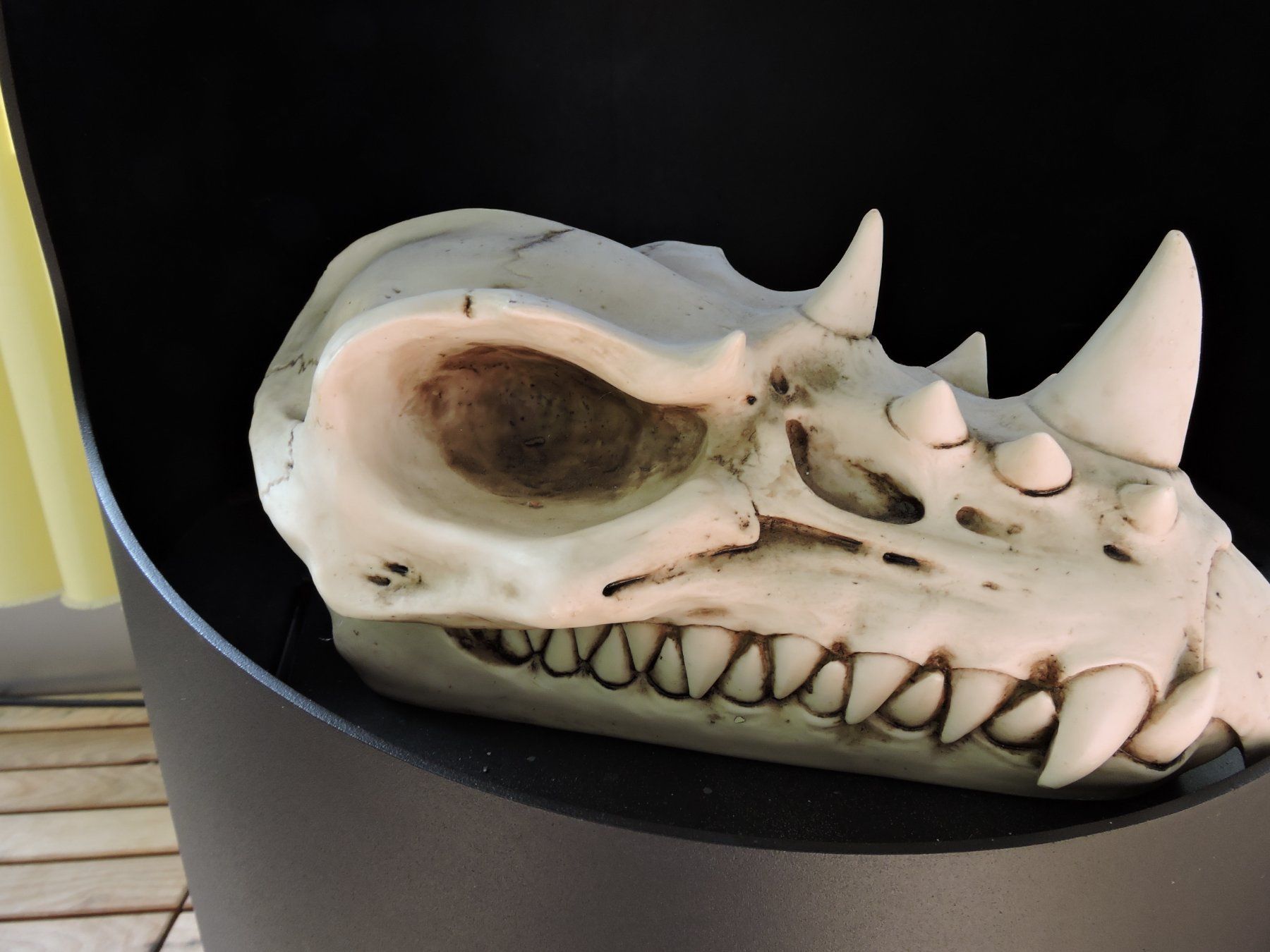 T-Shirts: Dragon Skull Design Clinic – Gebraucht aus Neuenkirch von tomtom72111