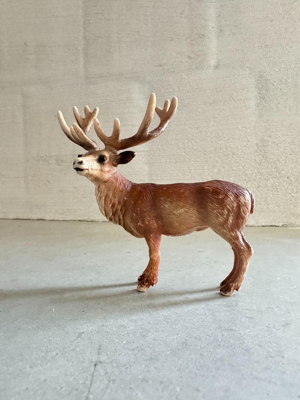 Schleich Giocattoli: Hirsch von Schleich – Usato da Basel venduto da inf_z7j8