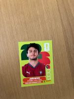 Panini Sticker