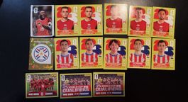 Panini FIFA World Cup Stickers Canada Paraguay Lot