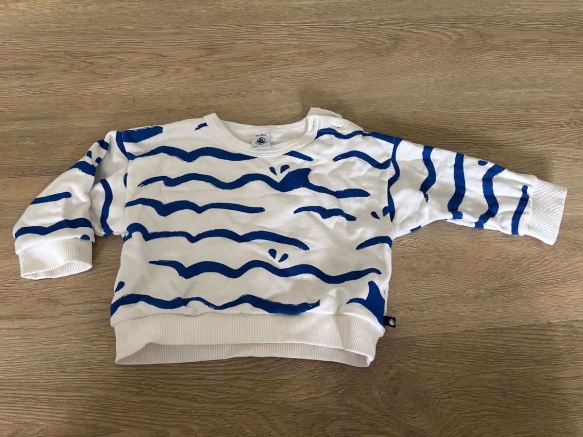 Petit Bateau Pullover & Sweatshirts: Petit Bateau Pullover 18 M / Gr 81cm – Neu (gemäss Beschreibung) aus Männedorf von Topolina87