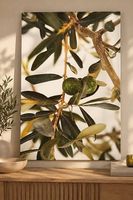 IKEA PLÄTTERÖD Leinwandbild Olivenzweig