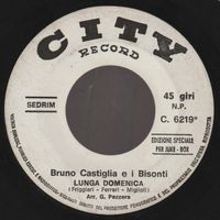 7 " BISONTI I DI BRUNO CASTIGLIA LUNGA DOMENICA / LA VOCE DE
