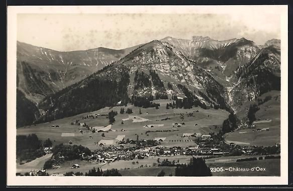 Cartes postales: AK Château-d'Oex, Panorama – D'occasion à Berlin par bartko-reher
