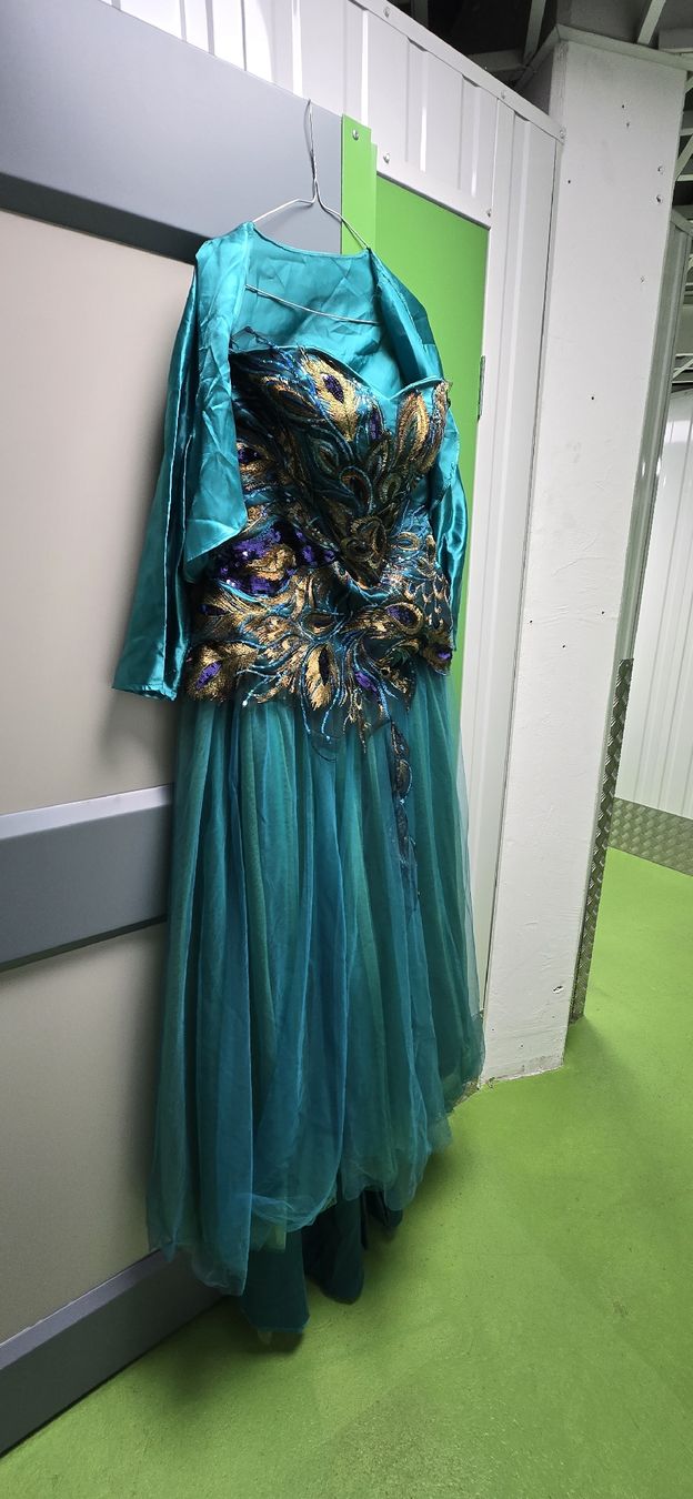 Kleider: Festkleider Pfau, grün. – Gebraucht aus Zürich von reiter.peter 1