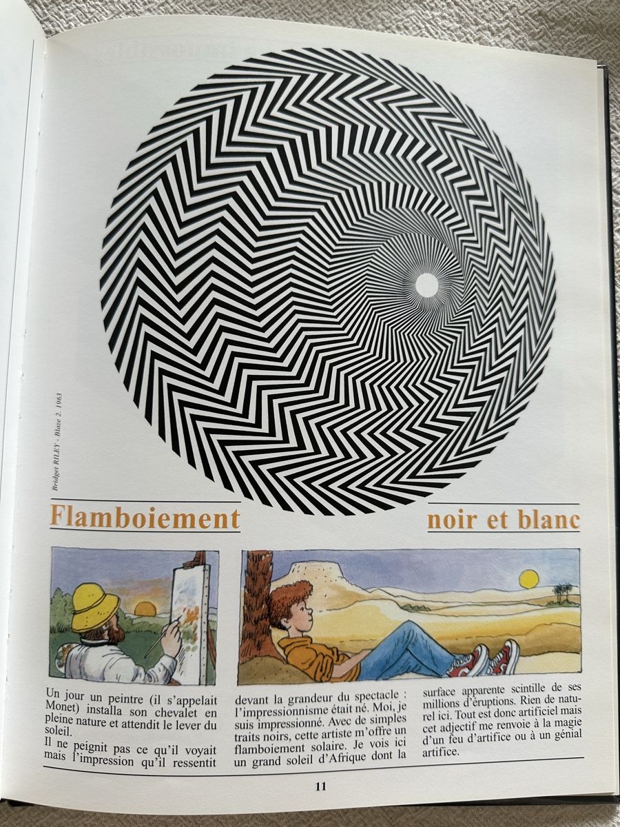 Libri: Les plus belles illusions optiques – Usato da Les Bioux venduto da ann_g9bh 3