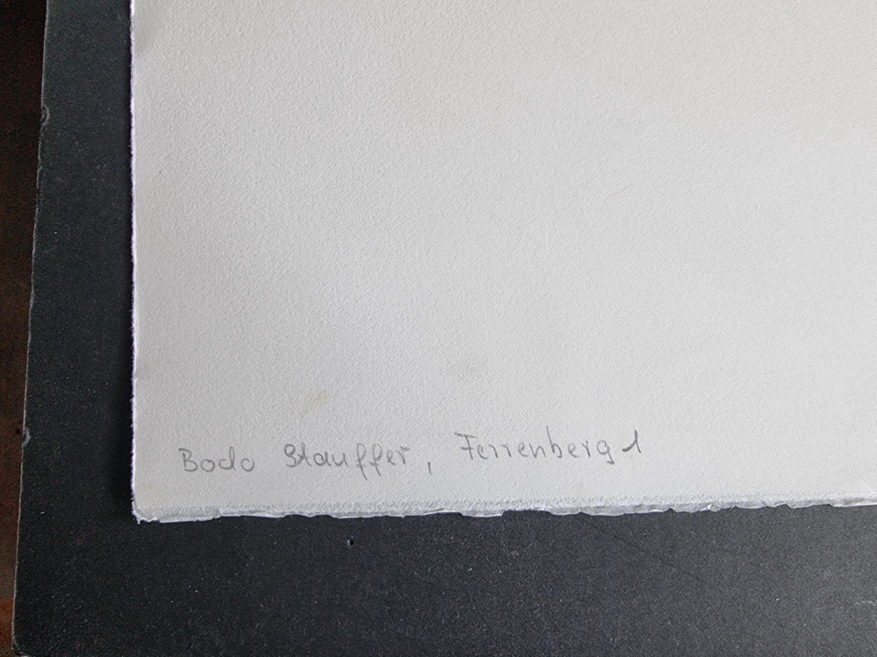 Grafica & Litografie: BODO STAUFFER LITHOGRAPHIE SIGNIERT NUMMERIERT – Usato da Gersau venduto da kunst-online 3