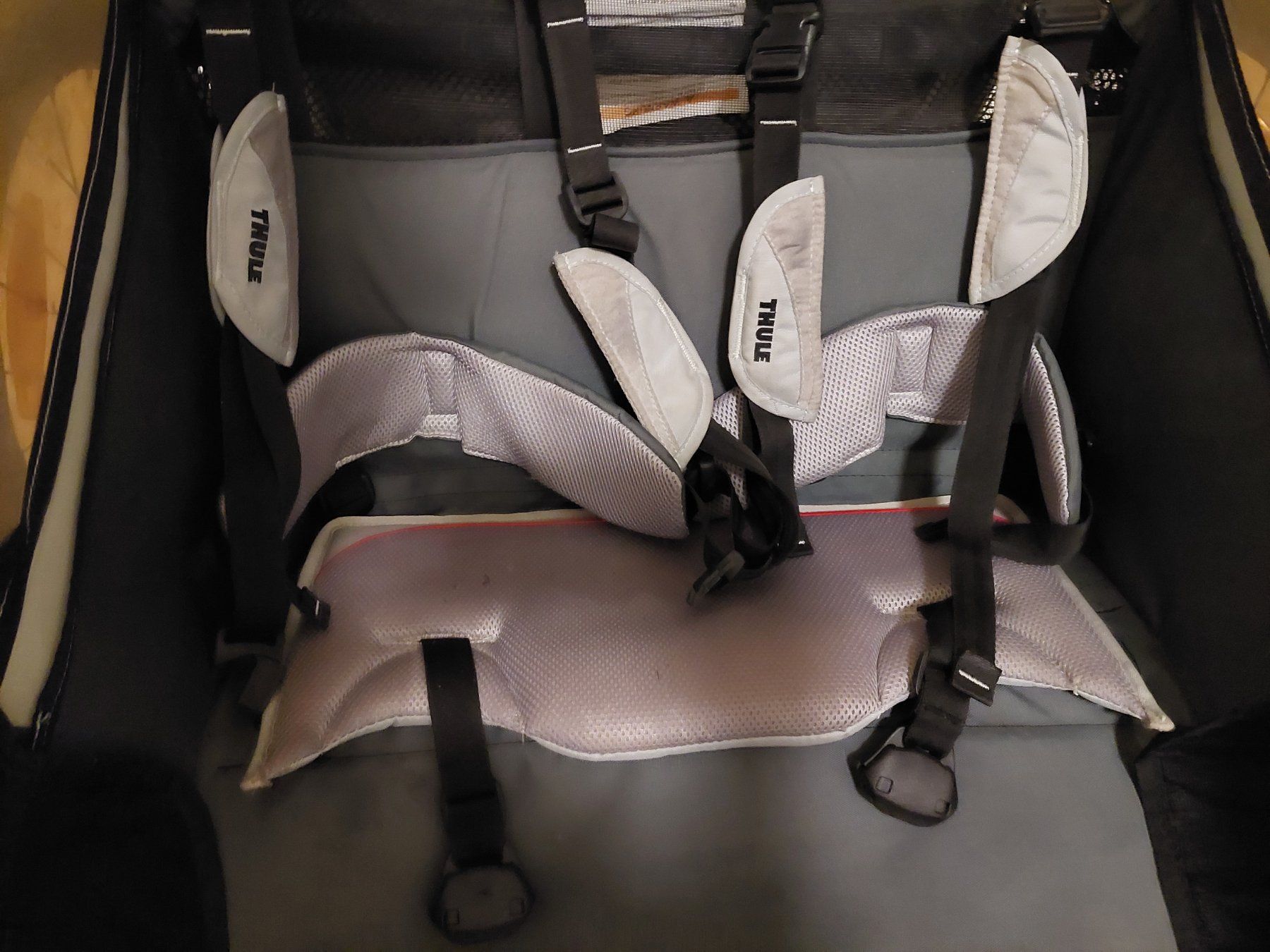 Thule Anhänger: Thule Chariot 2 Plätzer – Gebraucht aus Wetzikon ZH von roegoe123 6
