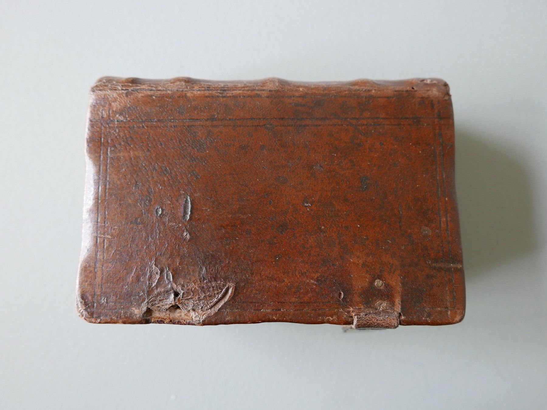 Libri: ANTIKES BUCH NEUES TESTAMENT – Usato da Balgach venduto da Zwischenraum 8