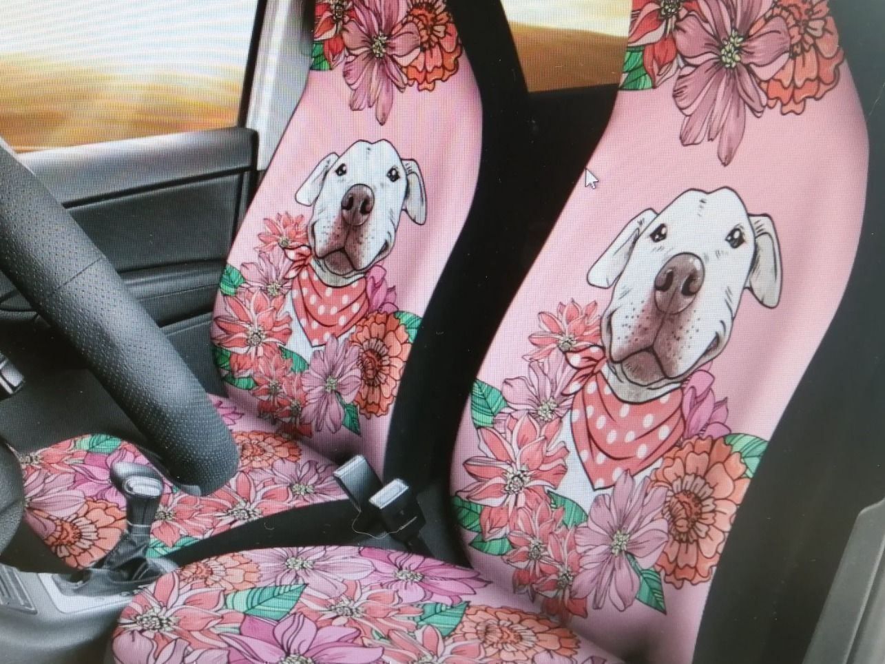 Tutti i ricambio: Autositz Schutz Bezug Hund NEU – Nuovo (secondo la descrizione) da Nidau venduto da Beritundpan 1