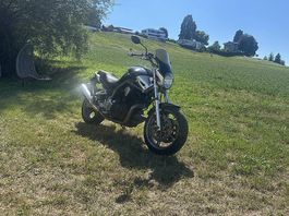 Yamaha BT1100 Bulldog  frisch ab MFK
