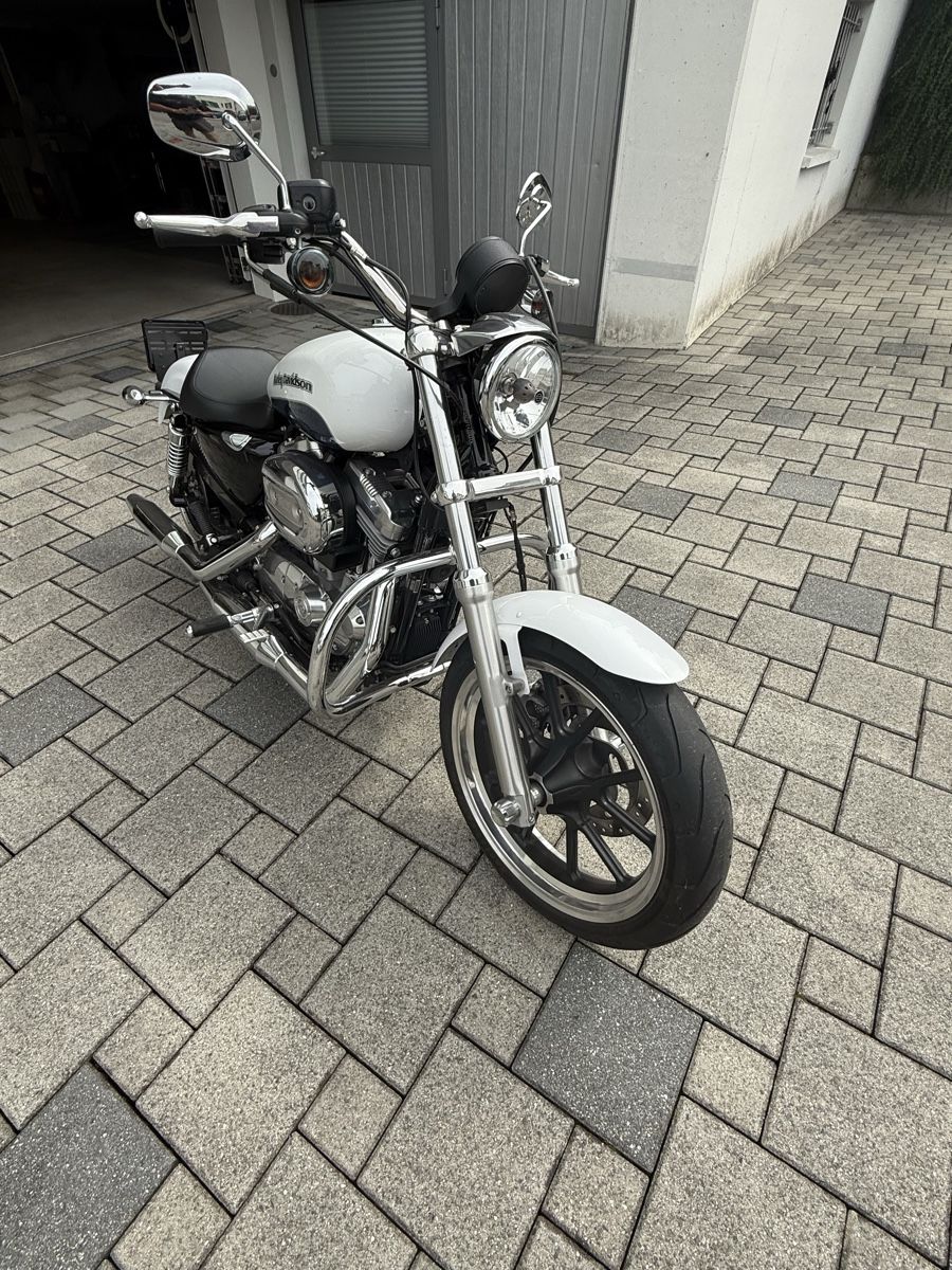 Harley-Davidson Chopper: Harley-Davidson XL883 Super Low. Top Zustand – Gebraucht aus Ibach von Skoda2004 3