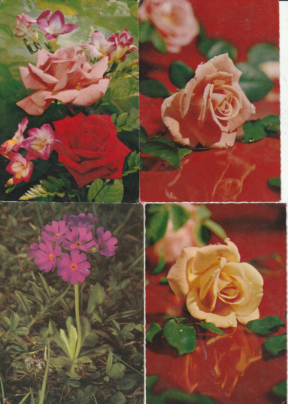 Cartes postales: 32  Blumenkarten – D'occasion à Lumbrein par made02 5