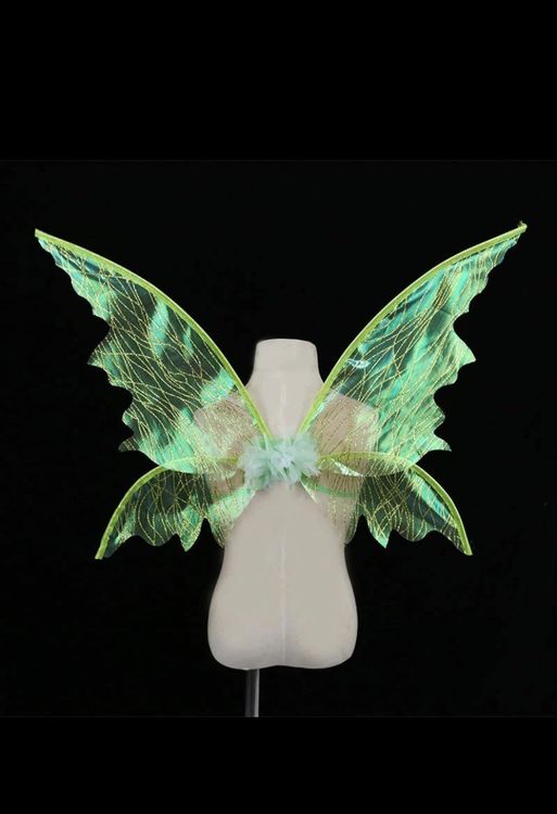 Ailes De Fée Adulte Aoimg 4PCS - Déguisement Papillon Ange Halloween Carnaval Noir