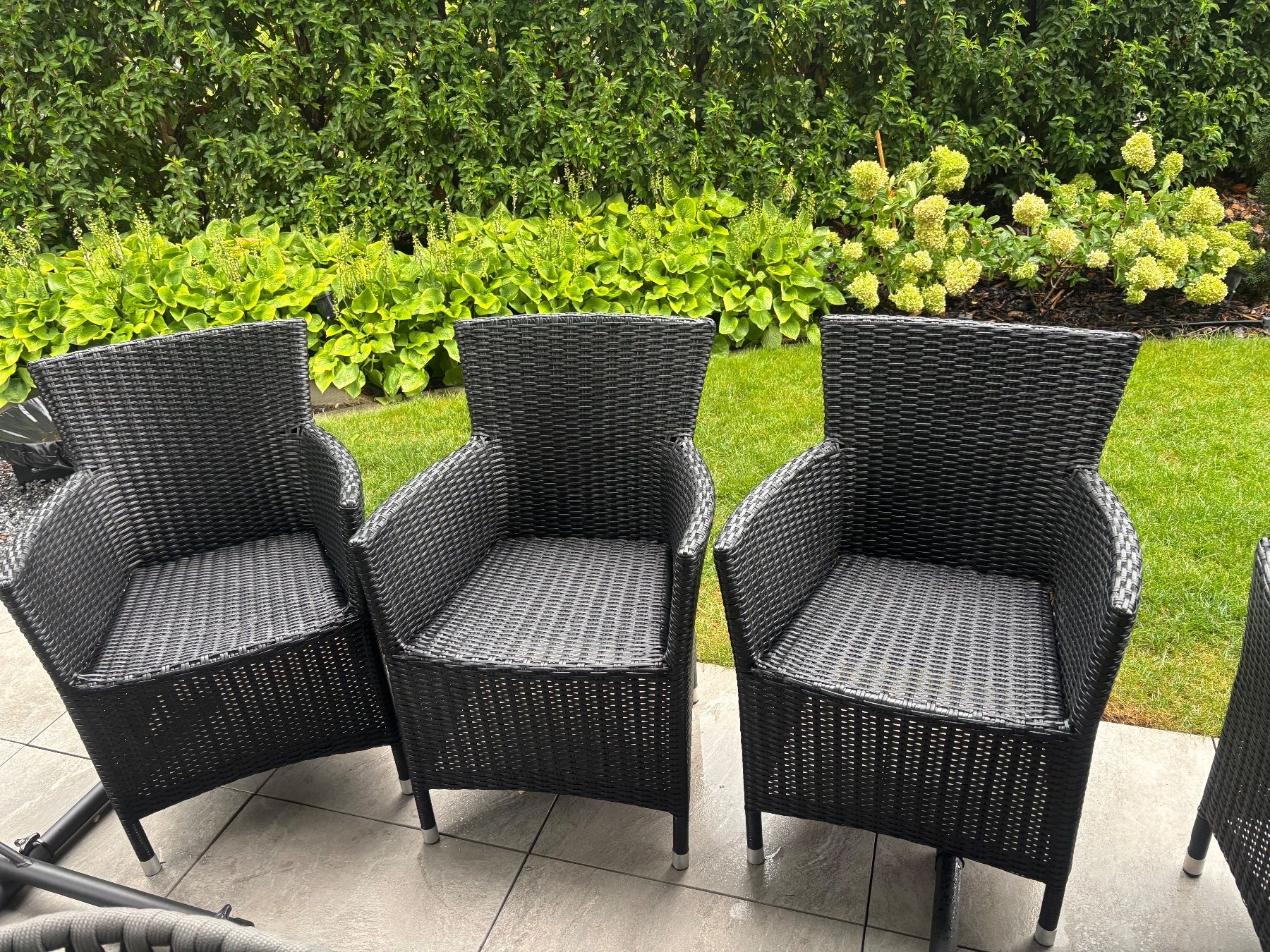 Chaises: 3 Gartenstühle Polyrattan – D'occasion à Weinfelden par Schuede10 2