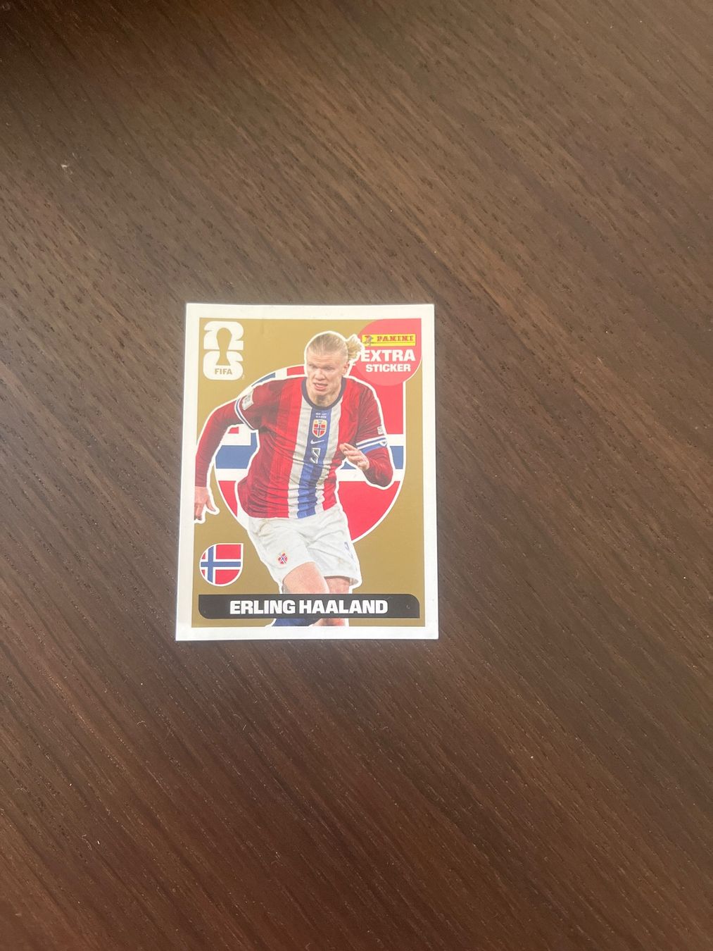 Panini Carte collezionabili: Panini Extra Sticker Gold Erling Haaland – Usato da Bertschikon Gossau venduto da Fabienne8008