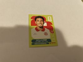 FIFA WM 2026 Savfallah Ltaief TUN 19