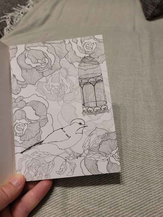  Kaufen auf Ricardo Bildidee 