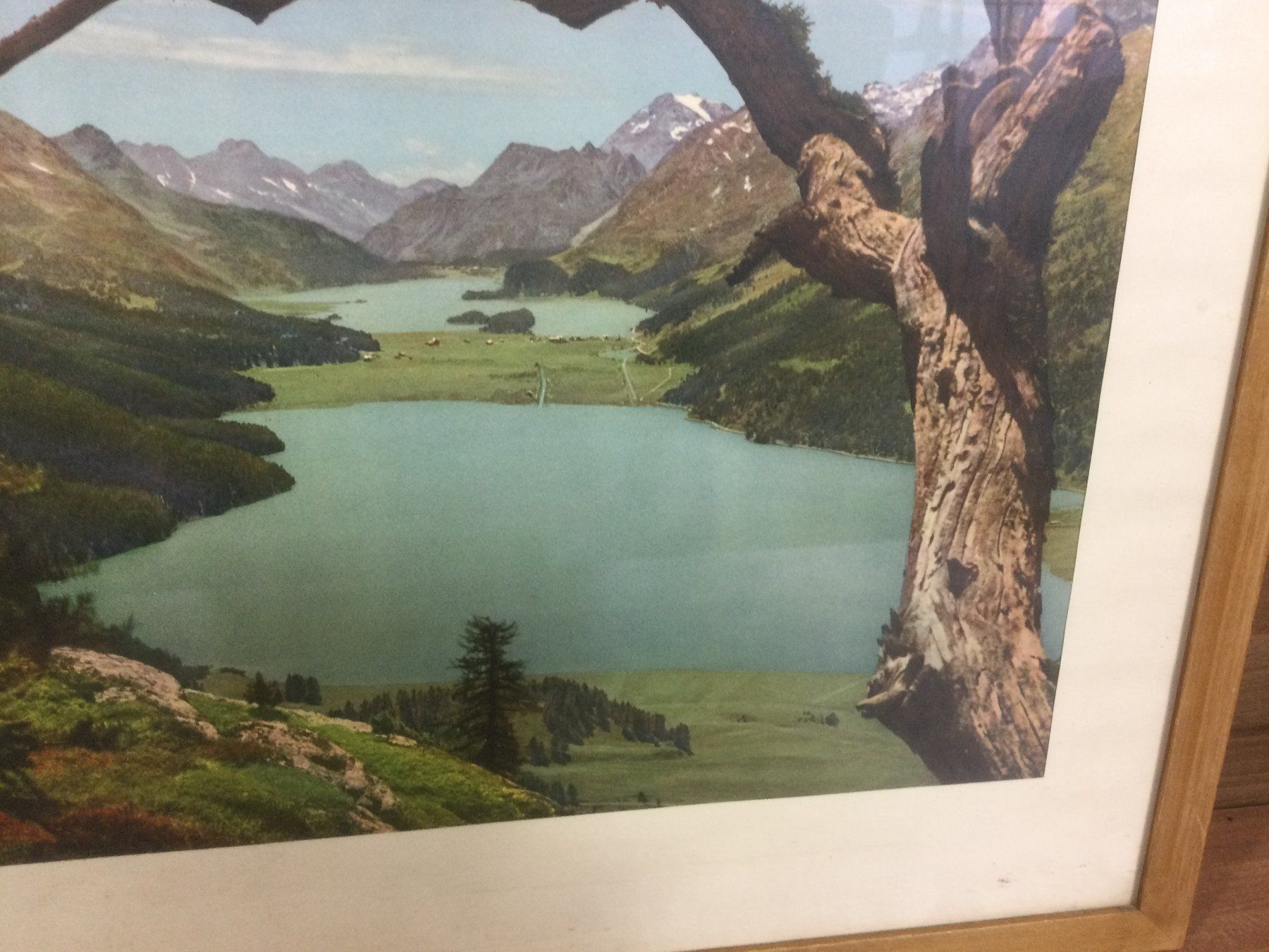 Foto & Immagini: Albert Steiner Ansicht Silsersee mit typischer Bergkulisse – Usato da Wangen SZ venduto da kuriosum12 1