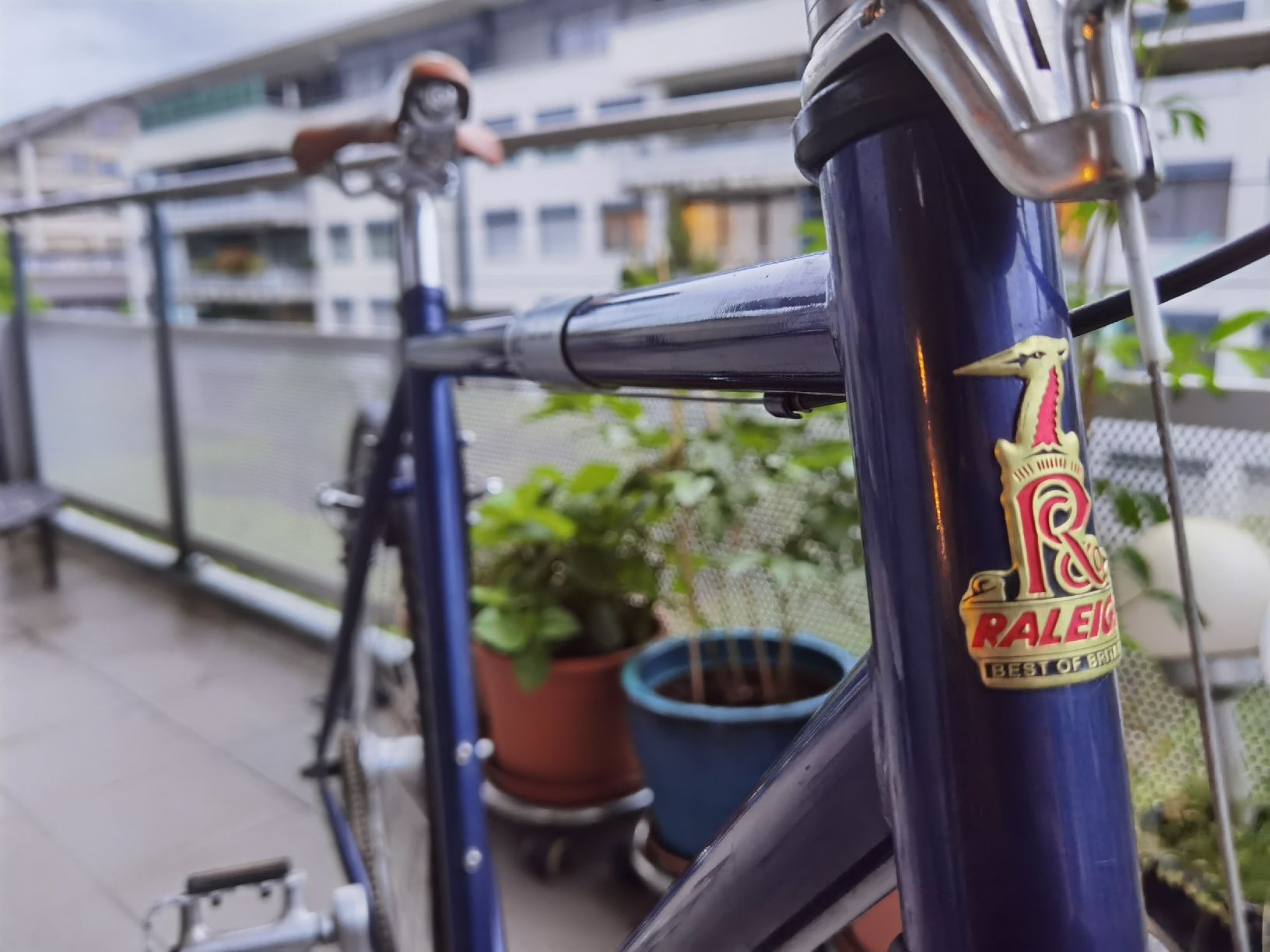 Biciclette: Raleigh One Way Singlespeed / Fixie – Usato da Biel/Bienne venduto da Cranson93 4