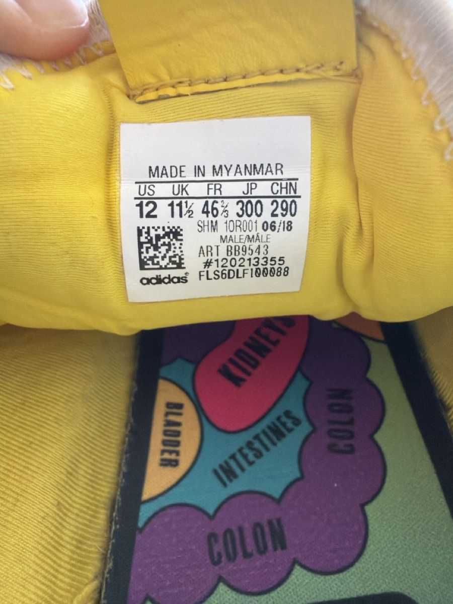 Adidas Herrenschuhe: Adidas Pharrell Williams HU – Gebraucht aus Breganzona von Ind-21 1