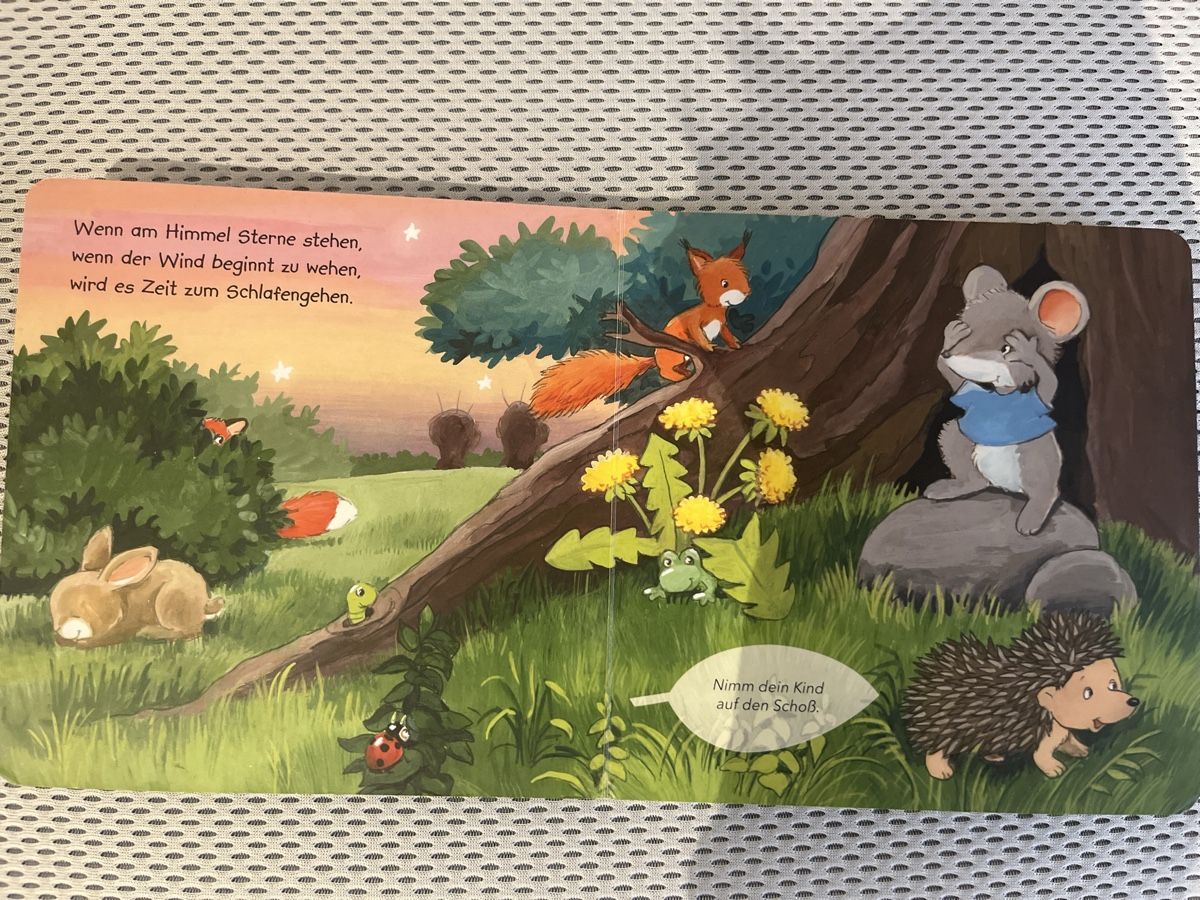 Bücher: Buch Kinder – Gebraucht aus Riehen von chr_h8fh 1