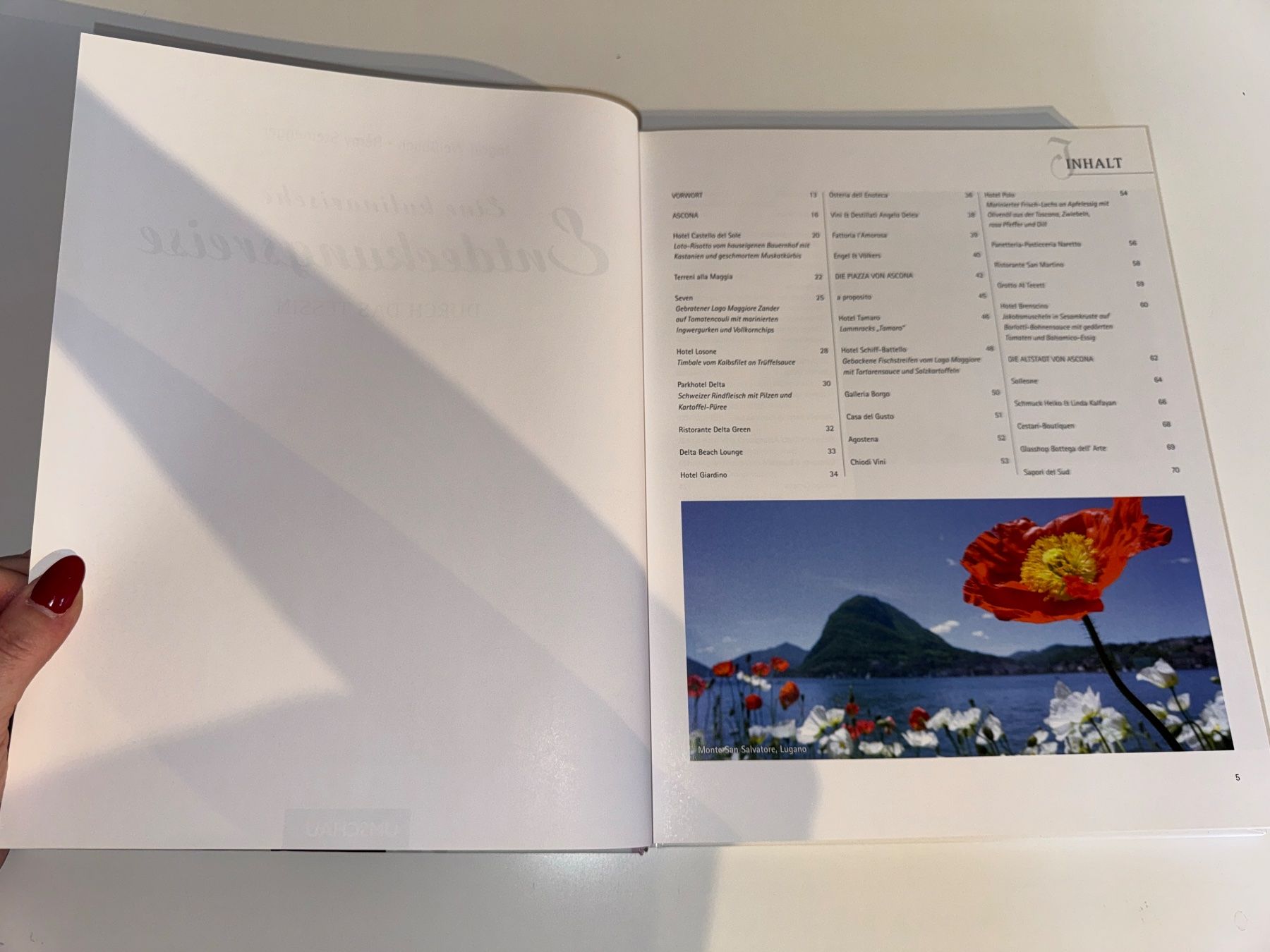 Bücher: BUCH: Eine kulinarische Entdeckungsreise durch das Tessin – Gebraucht aus Grosswangen von Second_hand_paradise 1