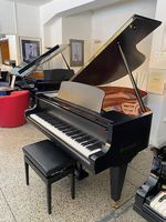 Bösendorfer Modell 170 Conservatory Occasion