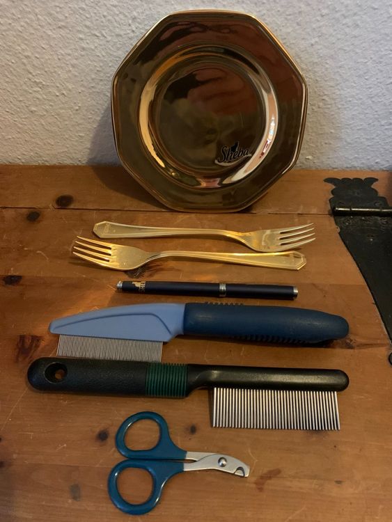 141-teiliges Hexen-Geburtstagsparty-Set – Mit Tellern, Tassen, Besteck, Servietten & Tischdecke Für Gruselig-schöne Feiern