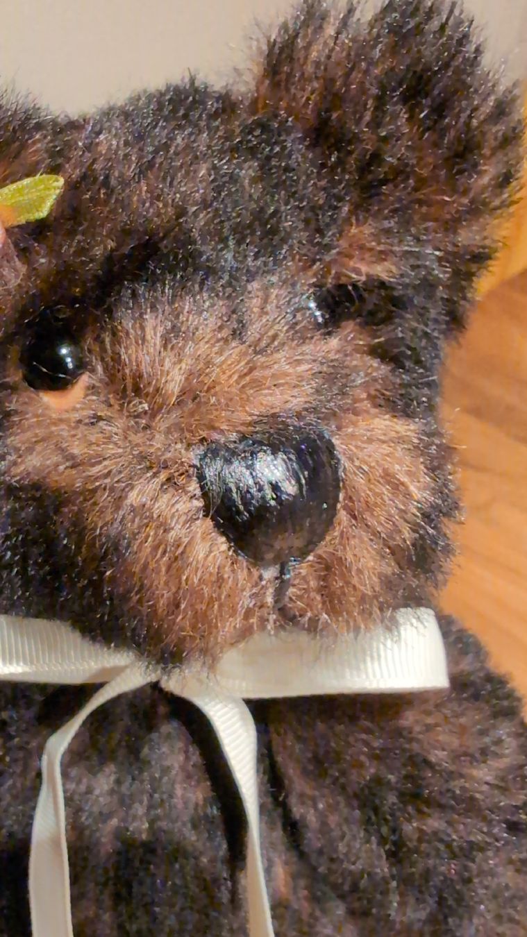 Statuette: Künstler Teddybär Unikat – Nuovo (secondo la descrizione) da Rüfenach AG venduto da sen_vbz6 6