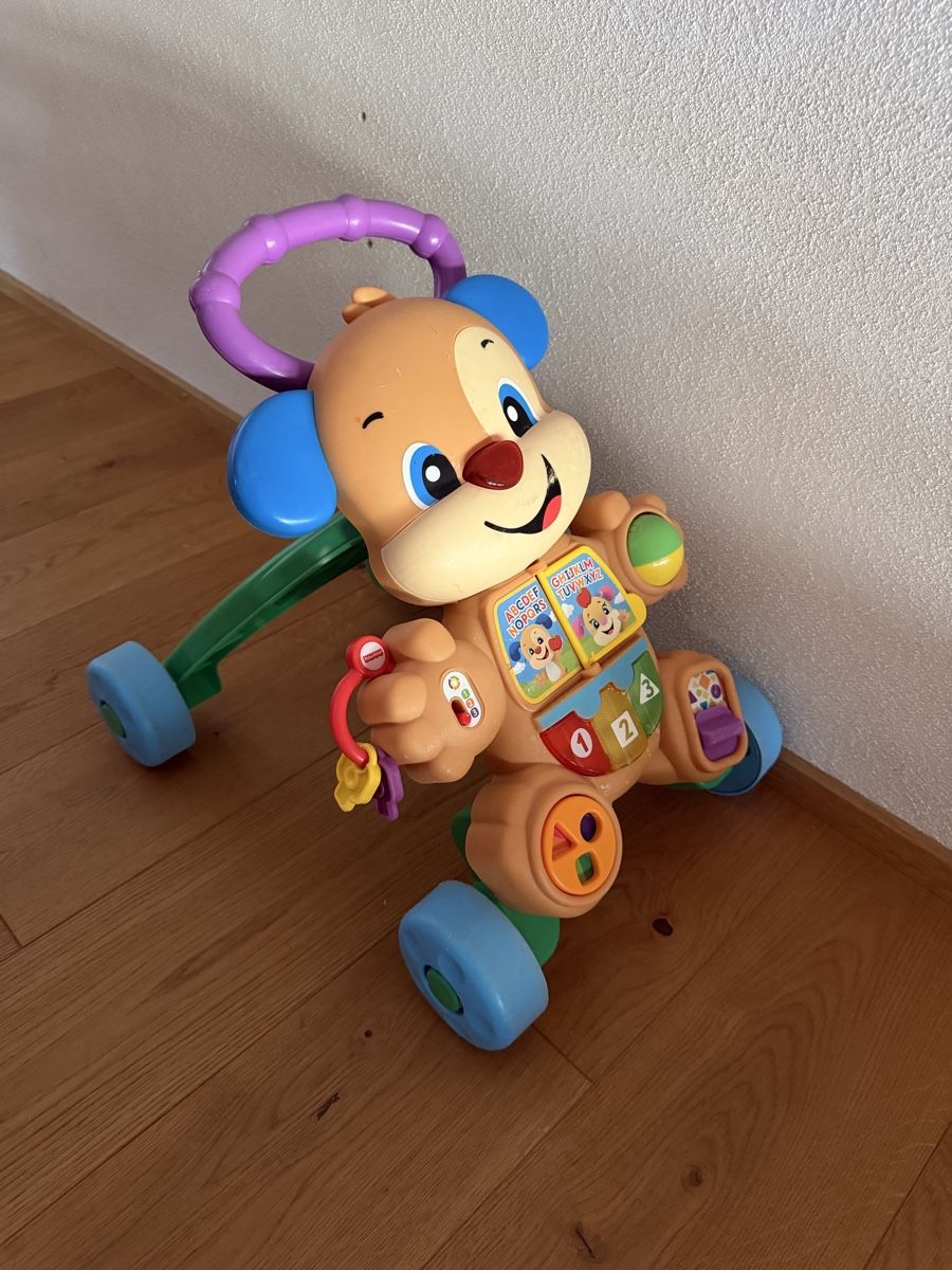 Giocattoli: Fisher Price Lauflernwagen – Usato da Engwang venduto da nilsgasser95