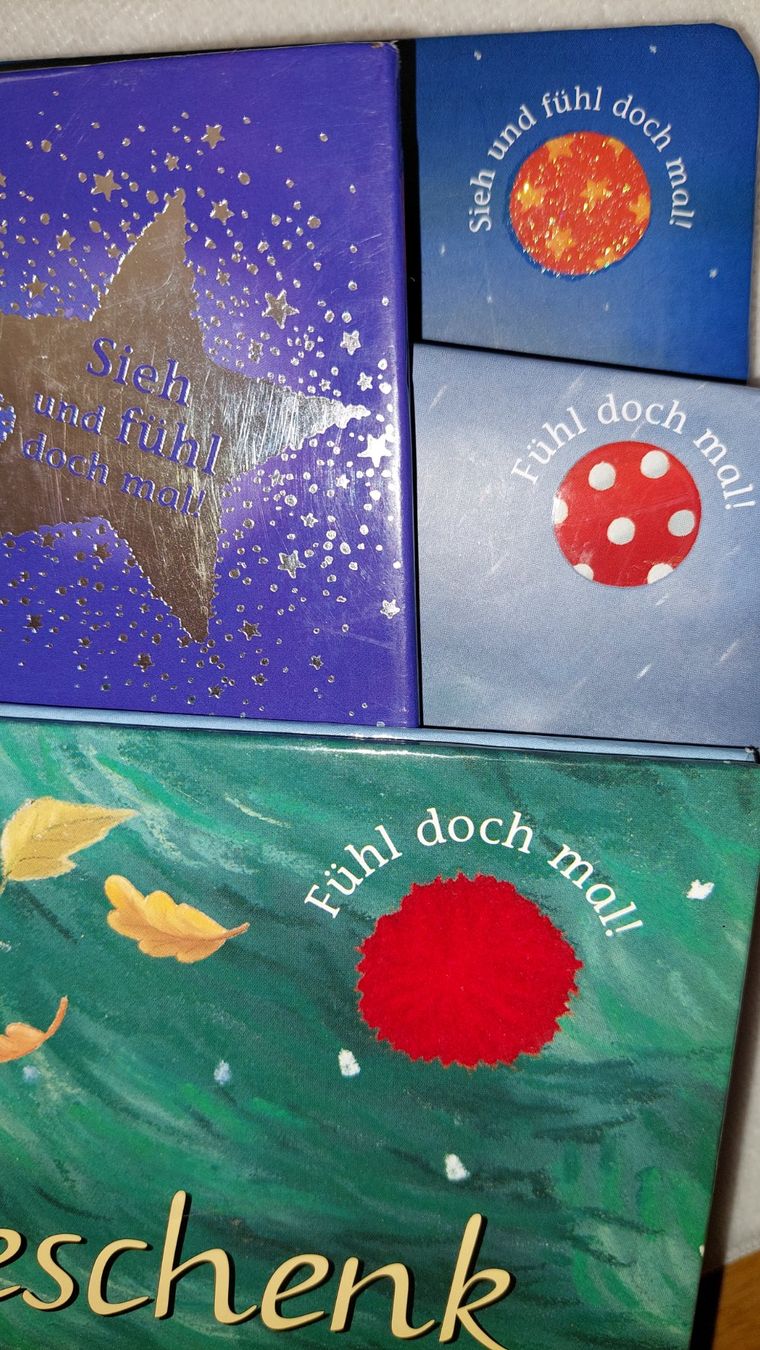 Libri: 4 Bücher mit dem kleinen Igel, auch einzeln möglich – Usato da Uitikon Waldegg venduto da Smeragol 8