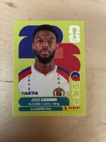 Panini HAI 16