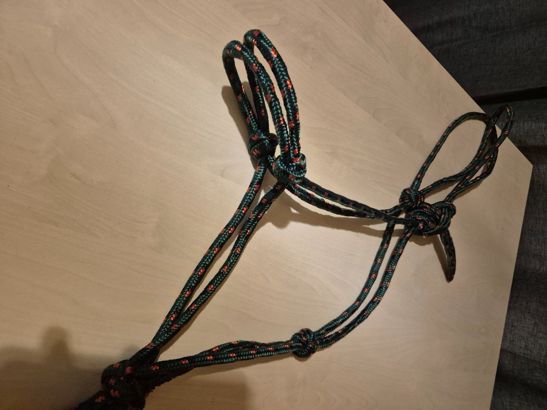 Brides, licols: Knotenhalfter Kaltblut – Neuf (Voir description) à Meggen par Orrinka20 1