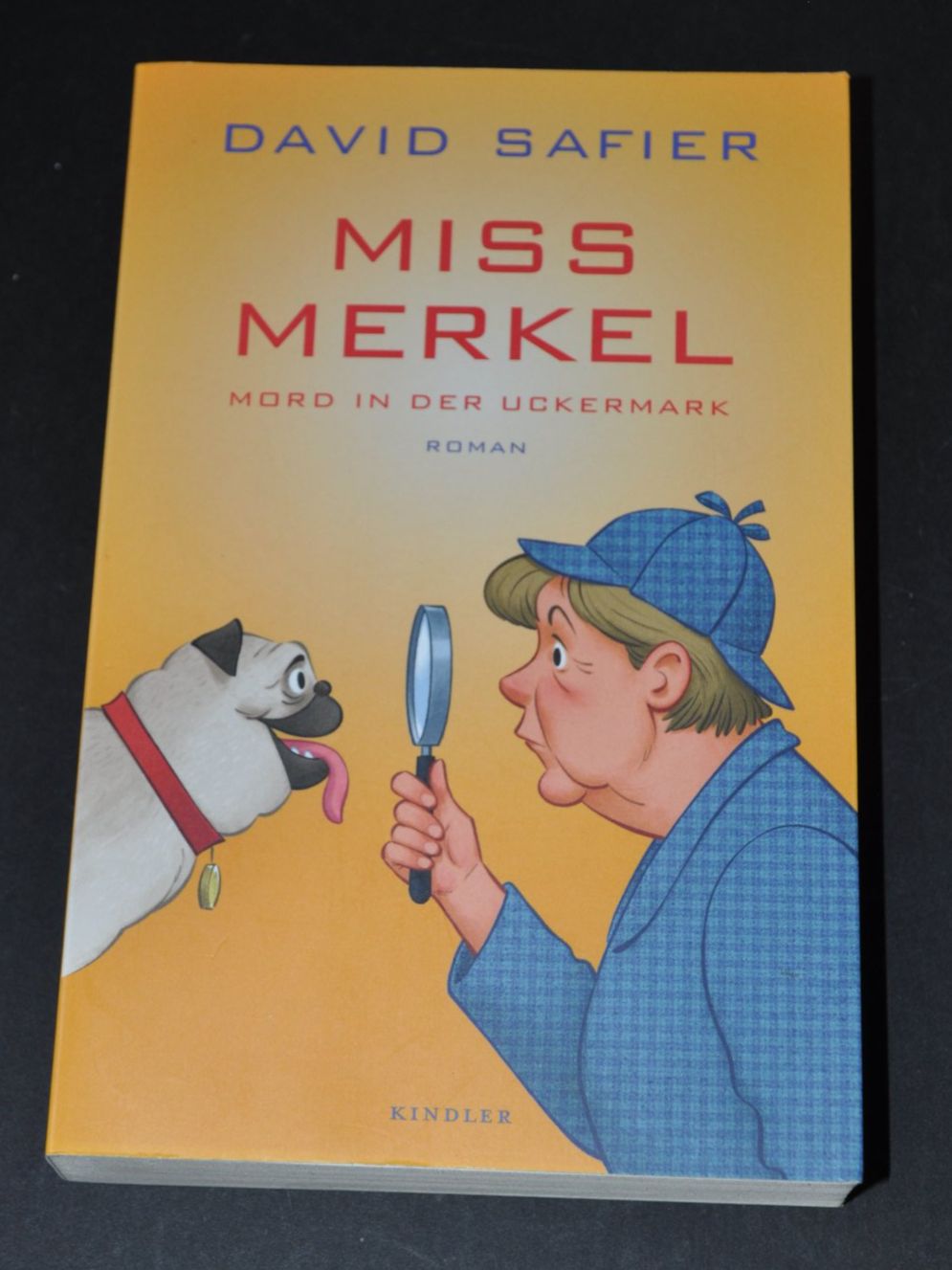 David Safier Miss Merkel Mord in der Uckermark Roman (Gebraucht