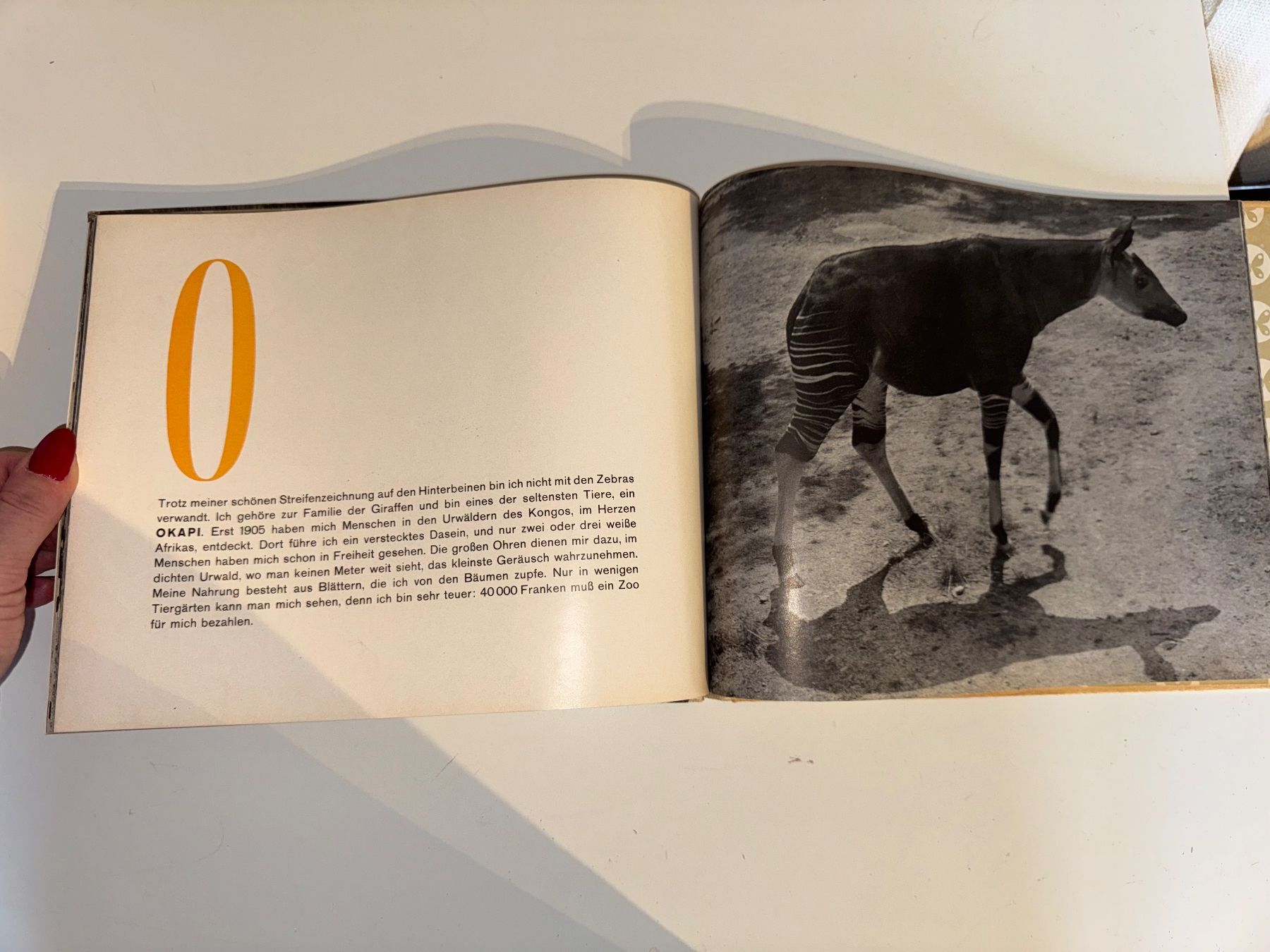 Libri: Buch: ABC mit Tieren – Usato da Grosswangen venduto da Second_hand_paradise 1