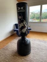 Boxsack Hammer Fitness Sparring Pro