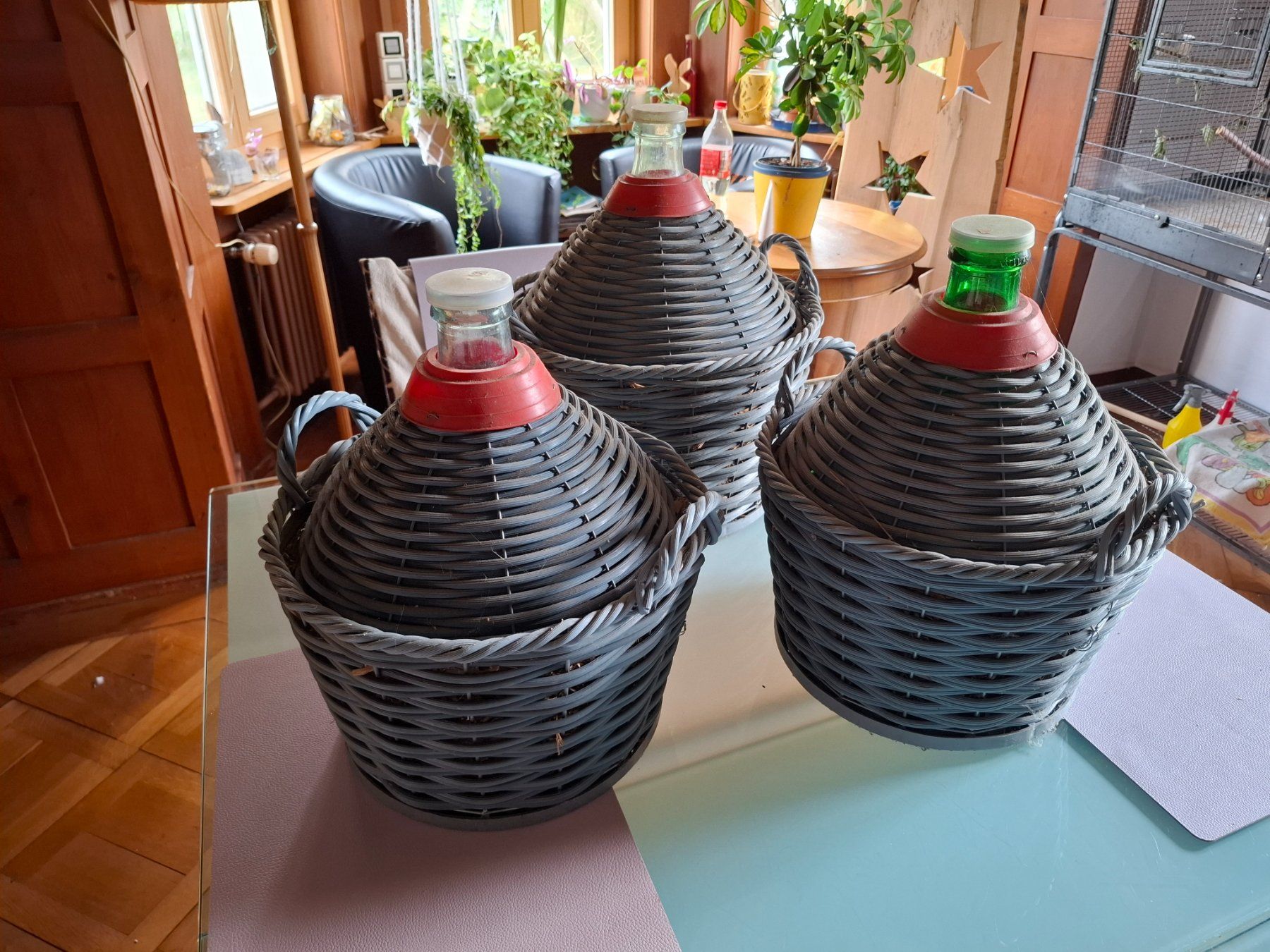 Flaschen: Korbflaschen mit Plastikschutz – Gebraucht aus Menziken von Computeria 1