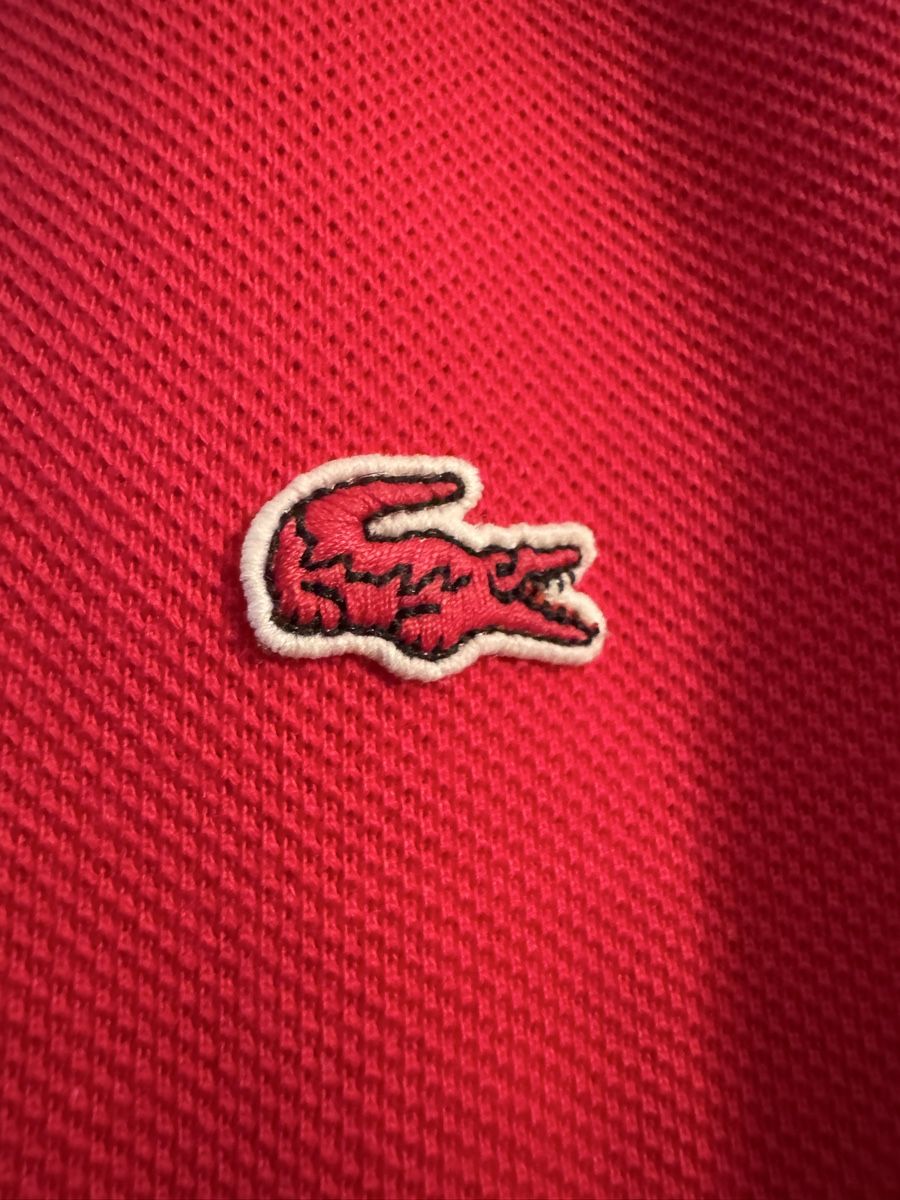 Lacoste Magliette Polo: Lacoste Poloshirt  – Usato da Obfelden venduto da cesarina10 3
