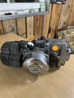 Diverse Puch Maxi Austria Motoren