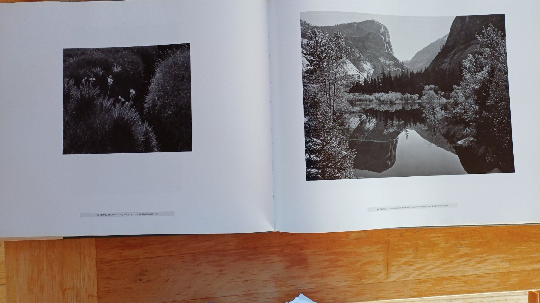 Libri: Ansel Adams: Unberührte Landschaften – Usato da Basel venduto da migam 2