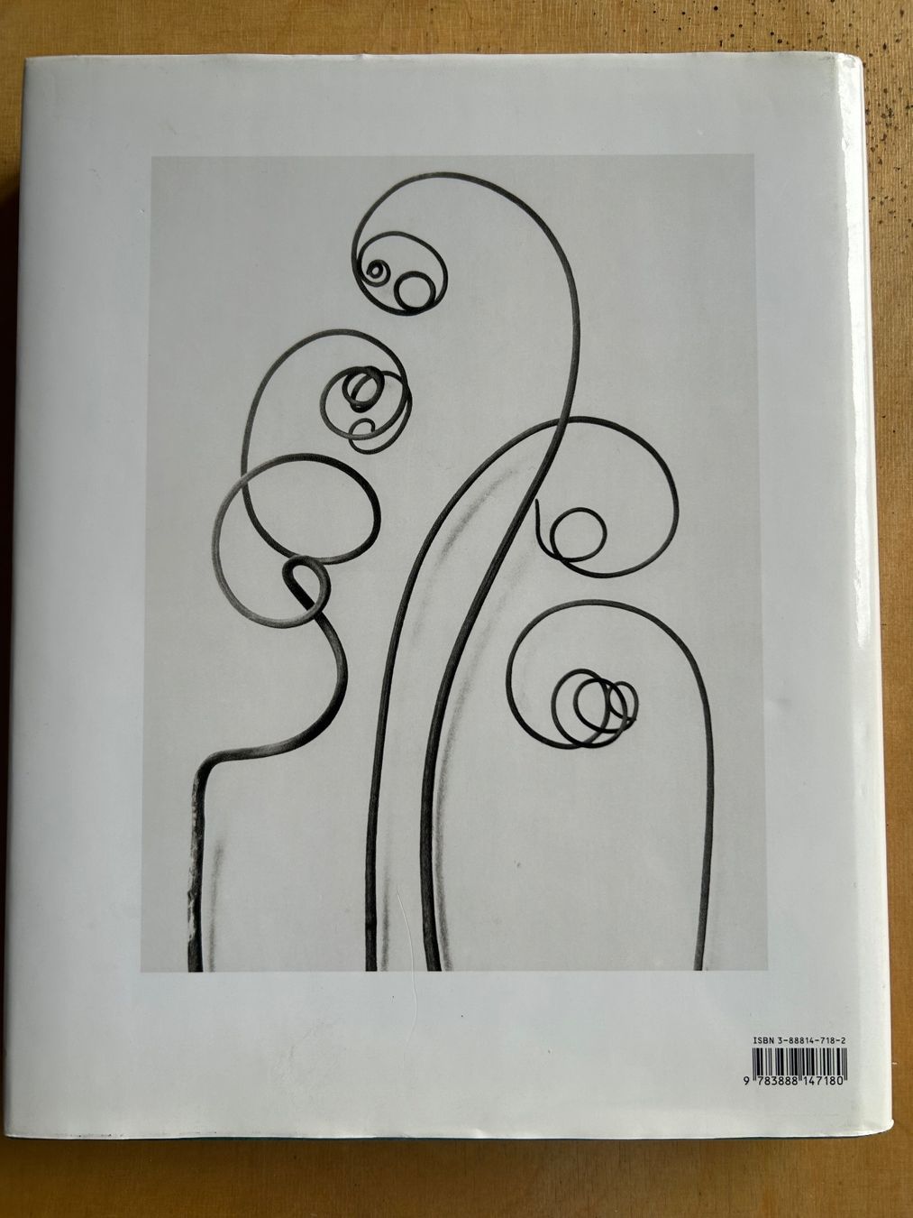 Libri: Buch Karl Blossfeldt – Usato da Zürich venduto da Tm7 1