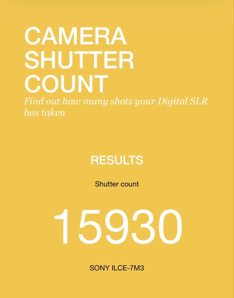 Sony Fotocamera: Sony A7 iii Kamera – Usato da Cham venduto da debsfuchs 4